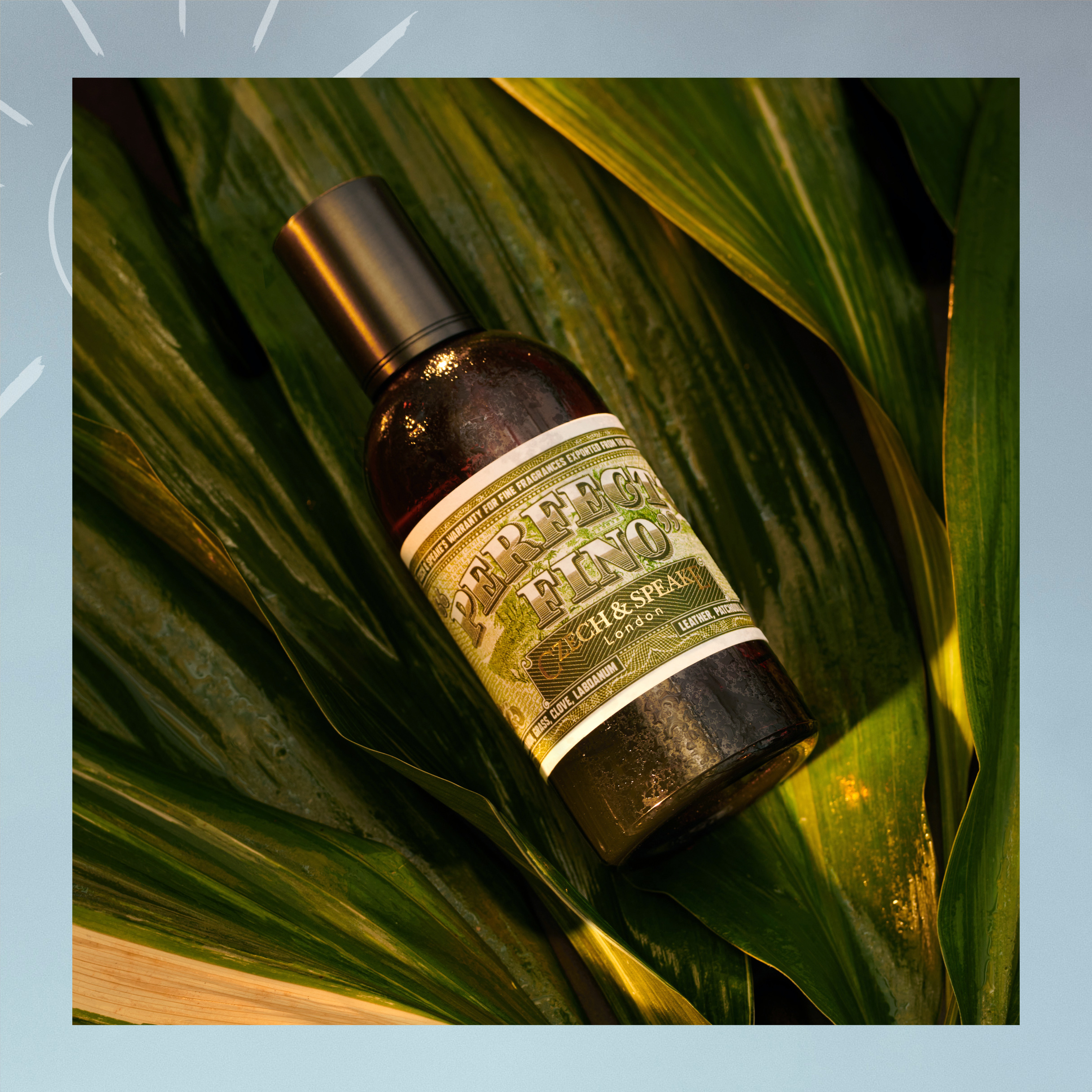 Perfecto Fino Eau de Parfum on leaves
