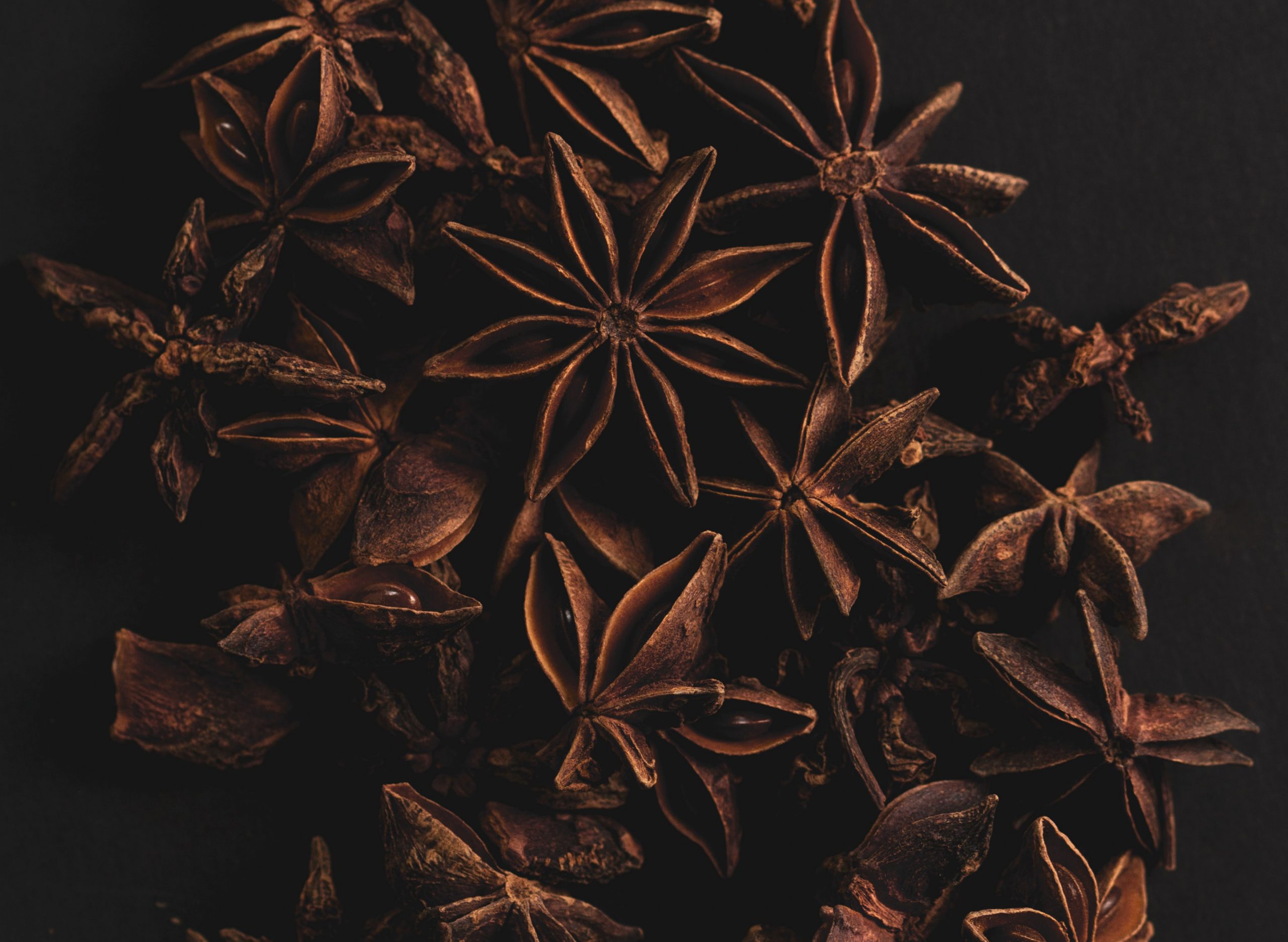 Close up of star anise in dark