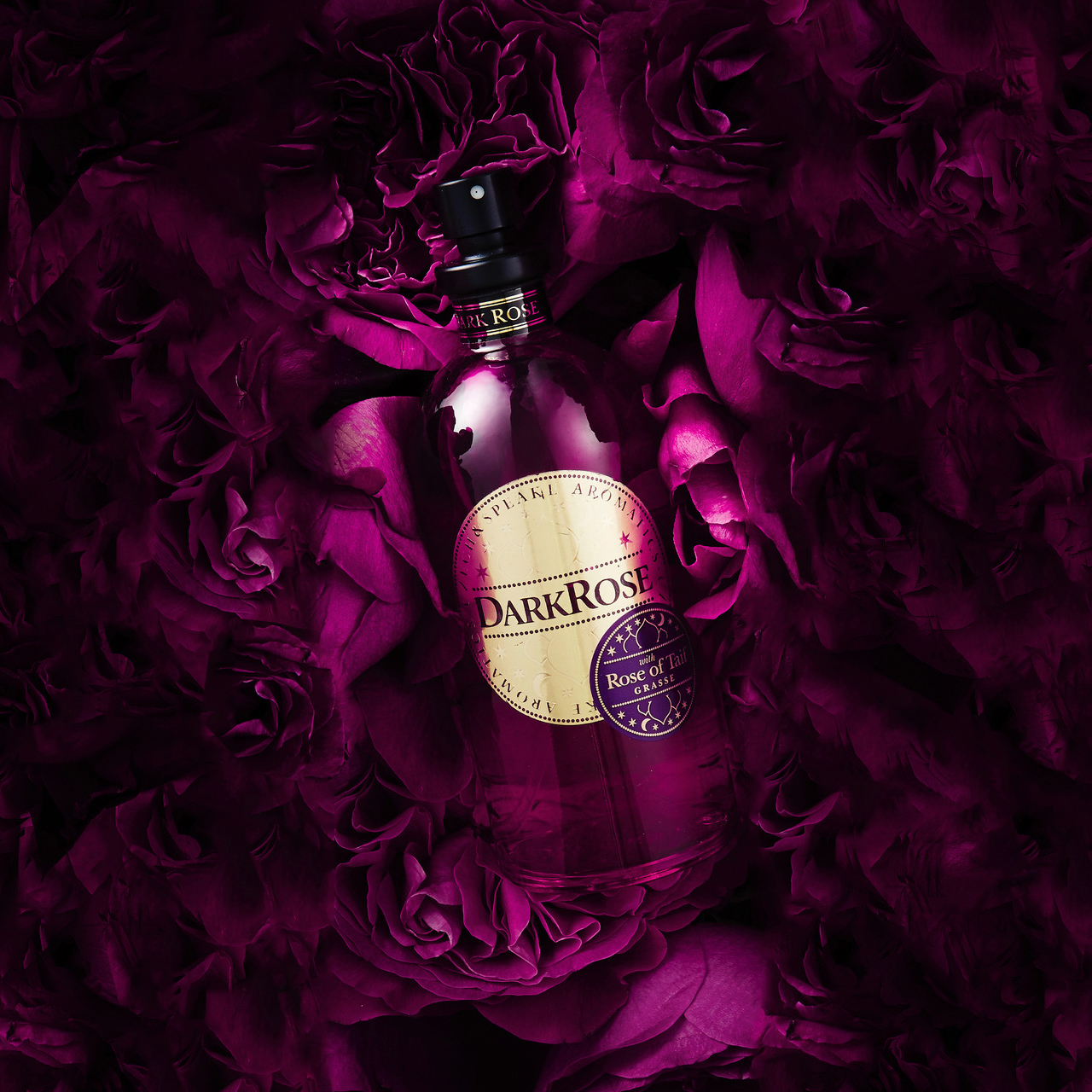 Dark Rose Eau de Parfum 100ml Spray lying in roses