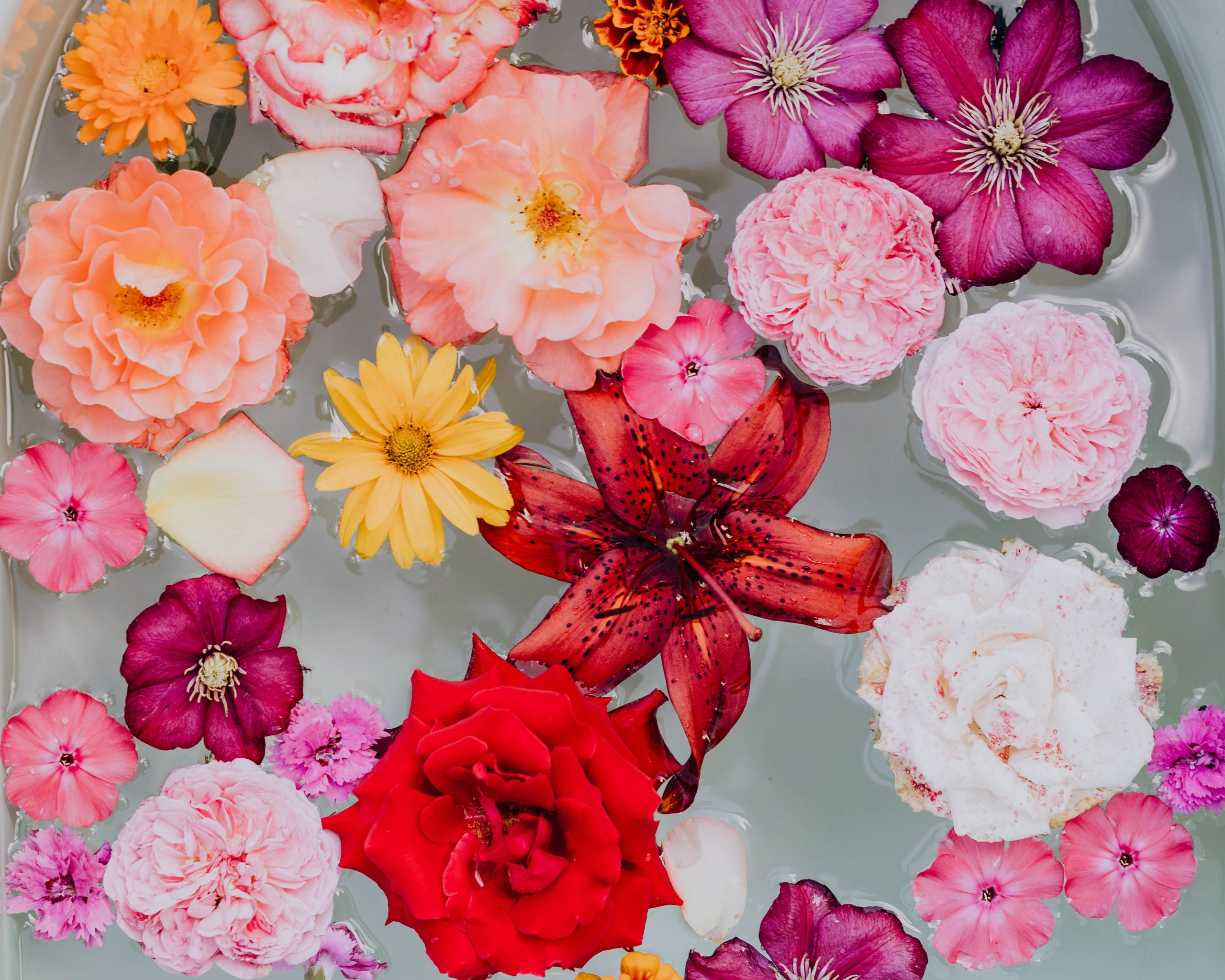 Pink and red Roses with red a lily floating in bath water