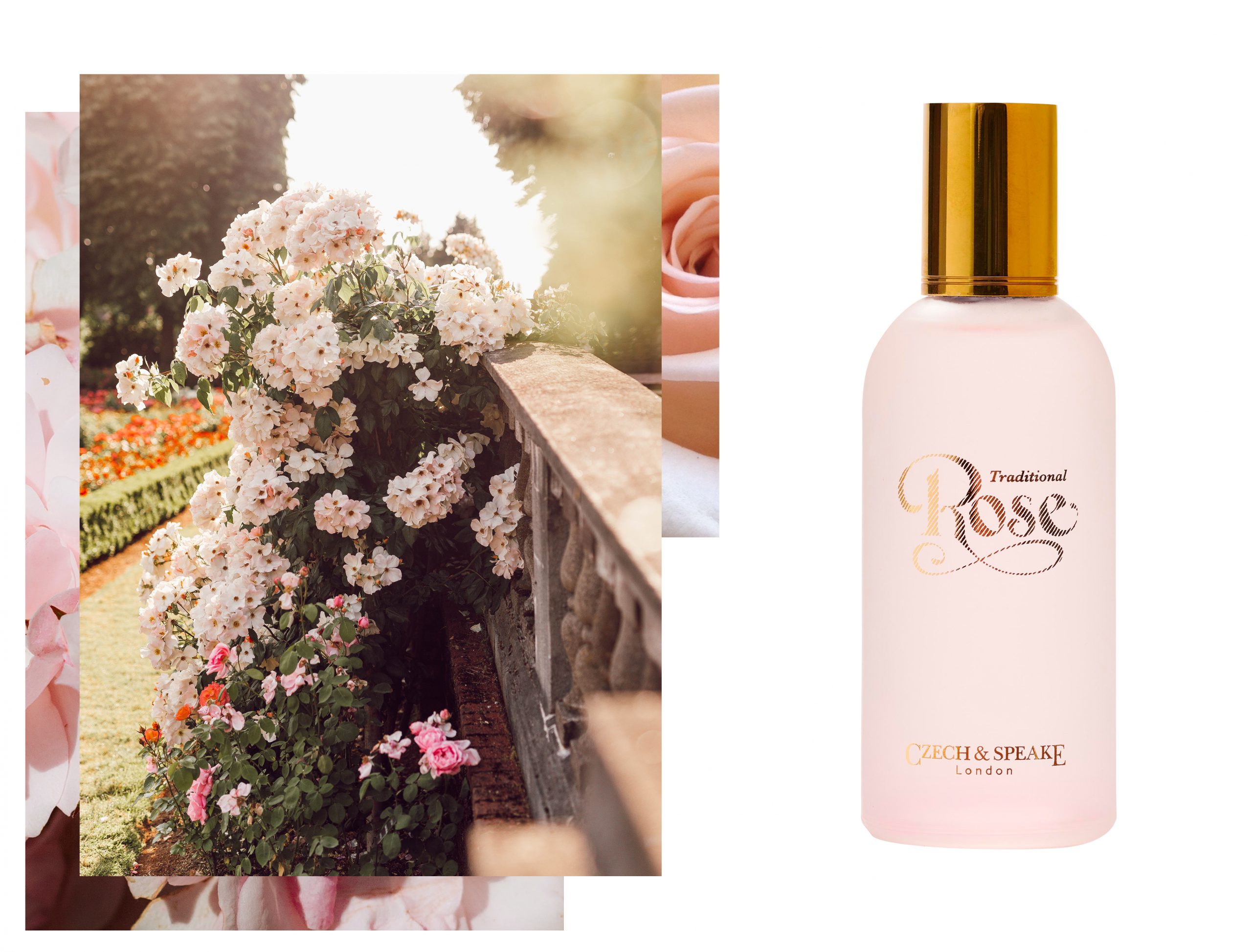 Rose Fragrance 100ml english rose garden