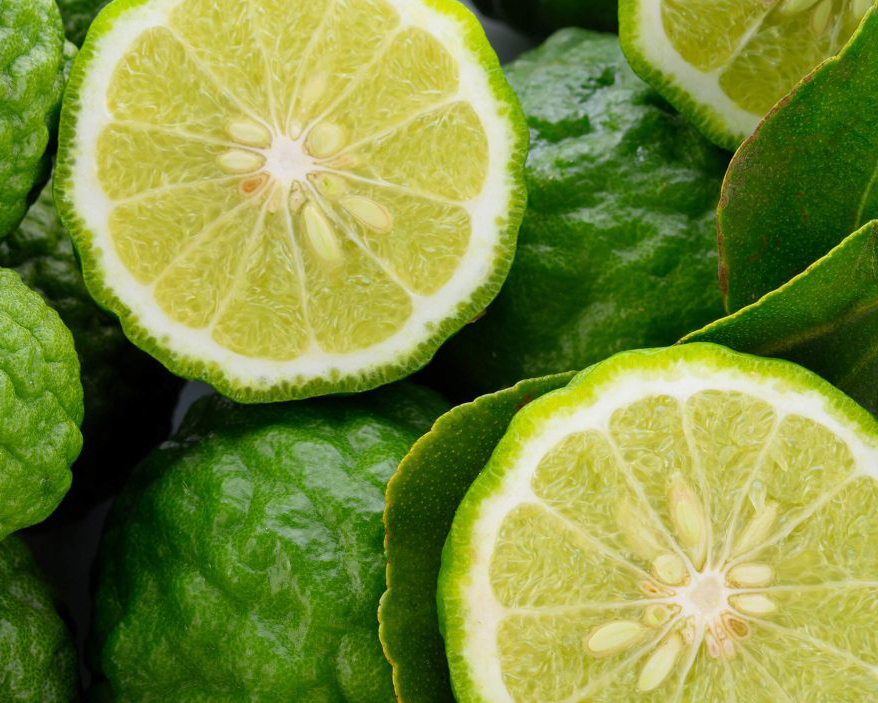 bergamot close up
